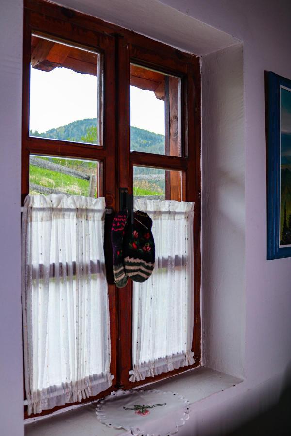 Apartment "Planinsko Selo" Zaovine Bagian luar foto