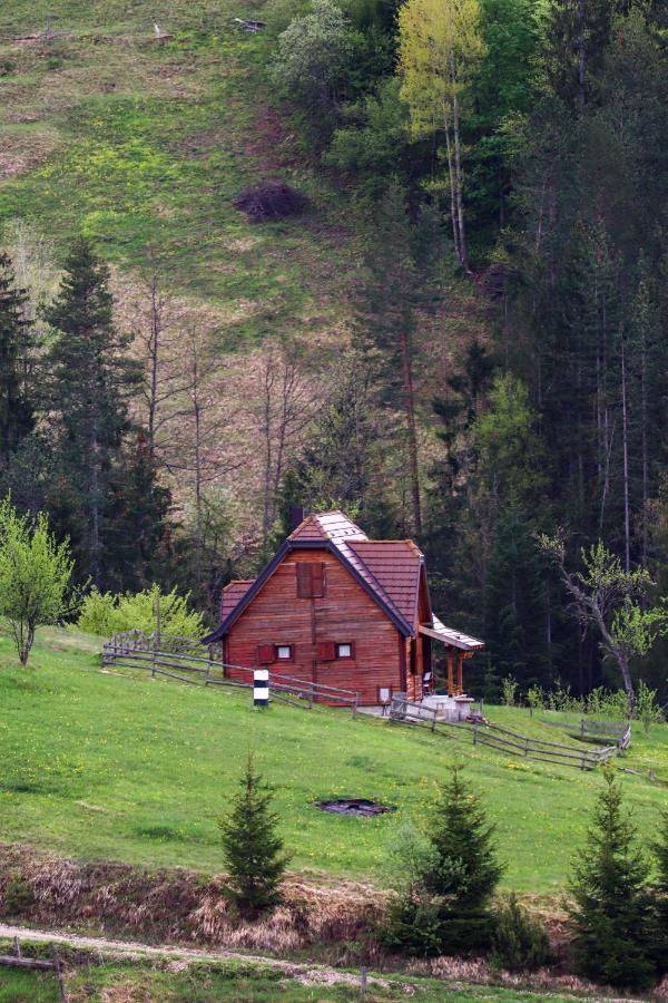 Apartment "Planinsko Selo" Zaovine Bagian luar foto